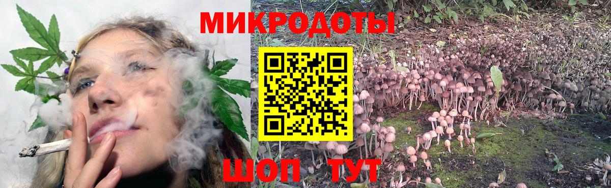 Псилоцибиновые грибы прущие грибы Еманжелинск